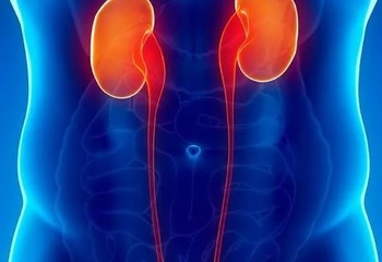 Применение комплексных фитопрепаратов в профилактике и лечении инфекций мочевыводящей системы. разбор активных компонентов.